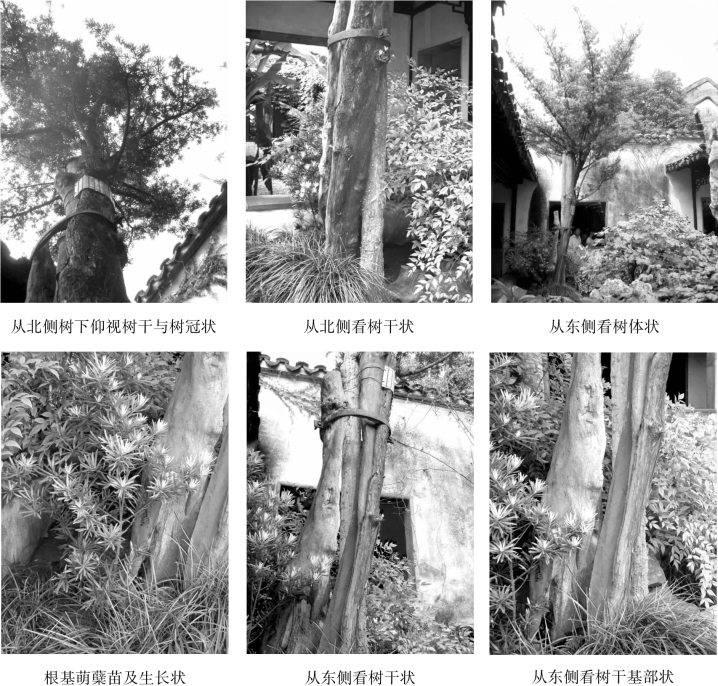 pagenumber_ebook=107,pagenumber_book=107