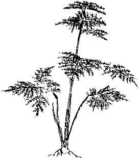 pagenumber_ebook=267,pagenumber_book=267