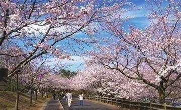 微信图片_20200319085900 微信图片_20200319085900.jpg