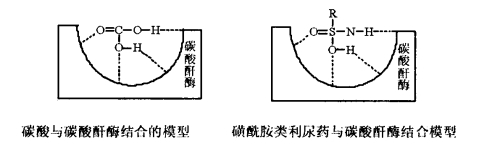 pagenumber_ebook=545,pagenumber_book=527