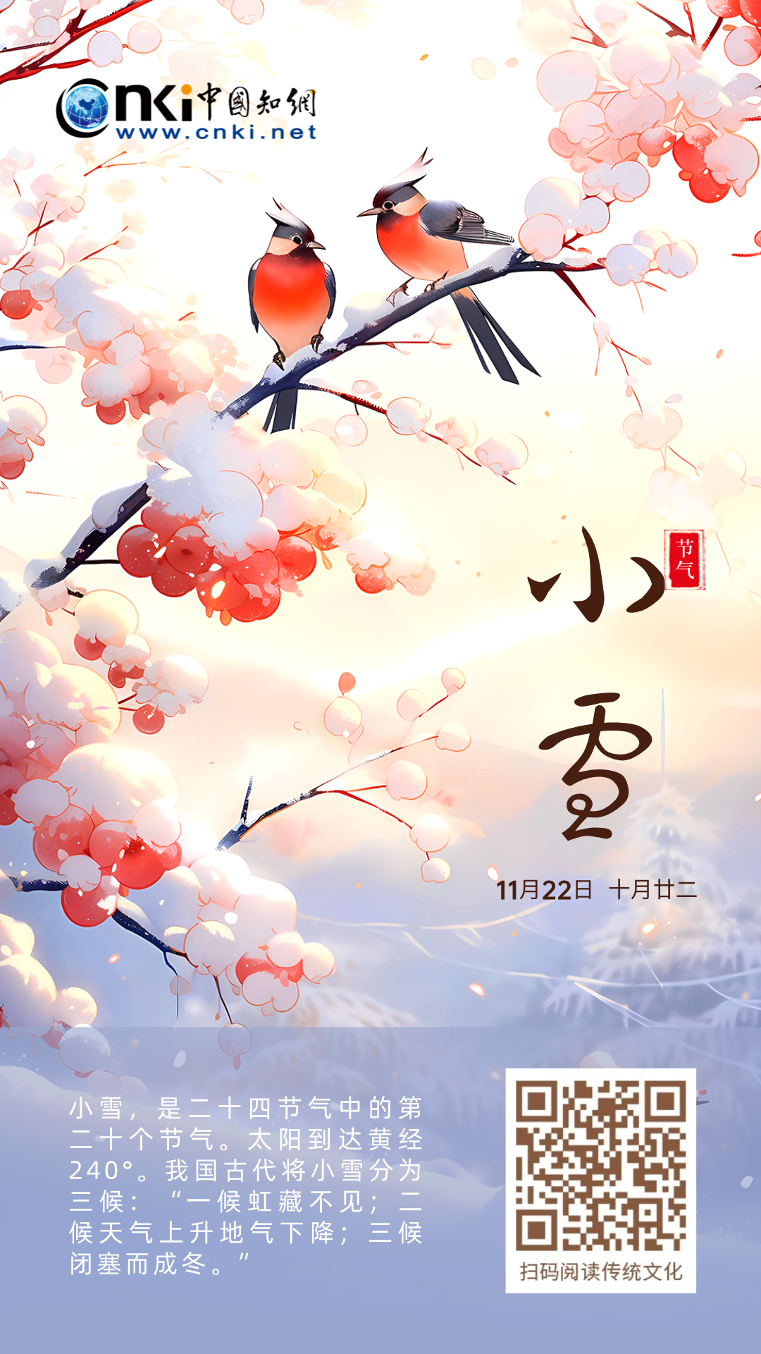 推 推.png?v=1765883249596