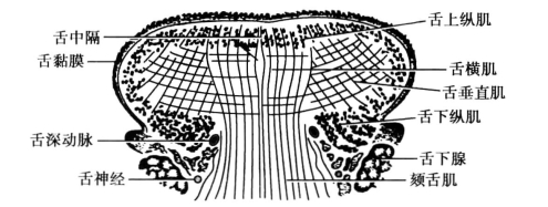 pagenumber_ebook=113,pagenumber_book=104