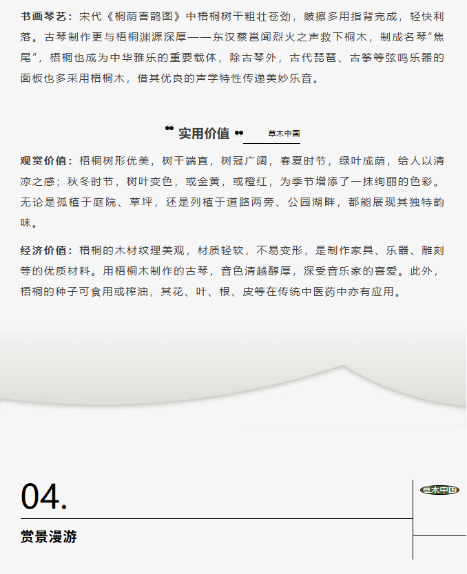 image.png?v=1766278521081