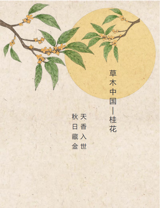 image.png?v=1762099910466