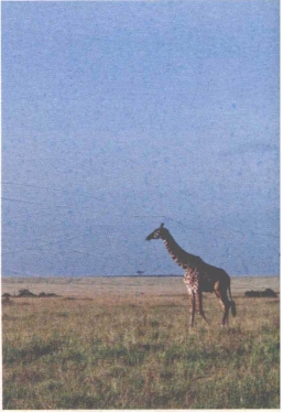 pagenumber_ebook=26,pagenumber_book=18