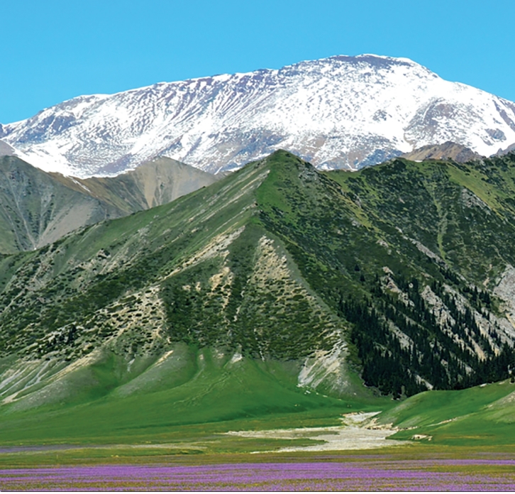 pagenumber_ebook=29,pagenumber_book=18