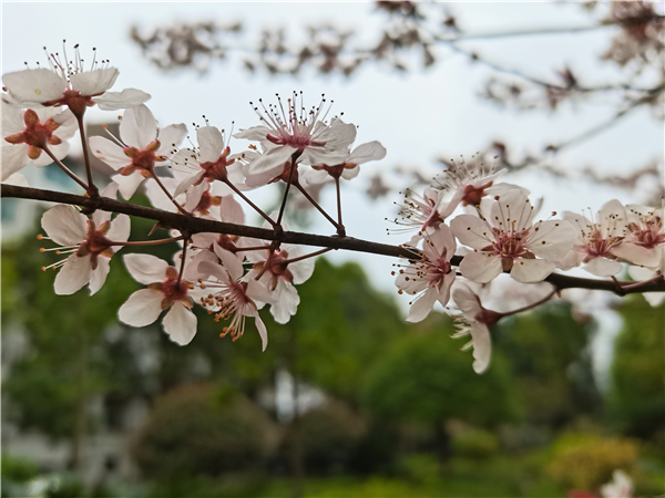 微信图片_20210228172856 微信图片_20210228172856.jpg