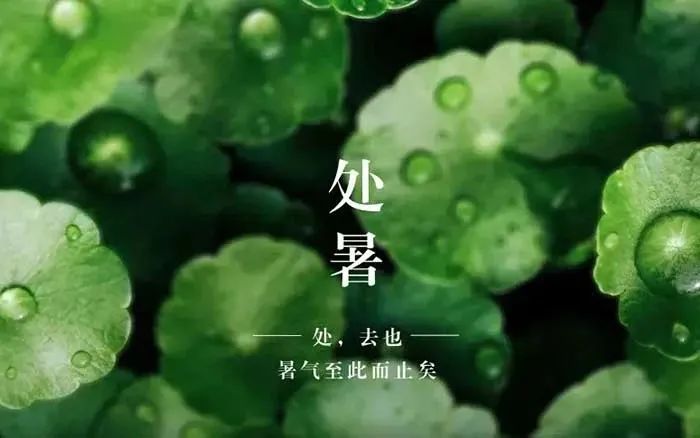 推 推.jpg?v=1765913837081