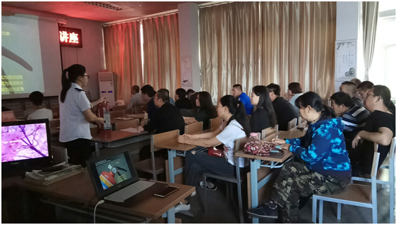 图片 图片.png?v=1763880165092