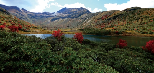 pagenumber_ebook=85,pagenumber_book=73