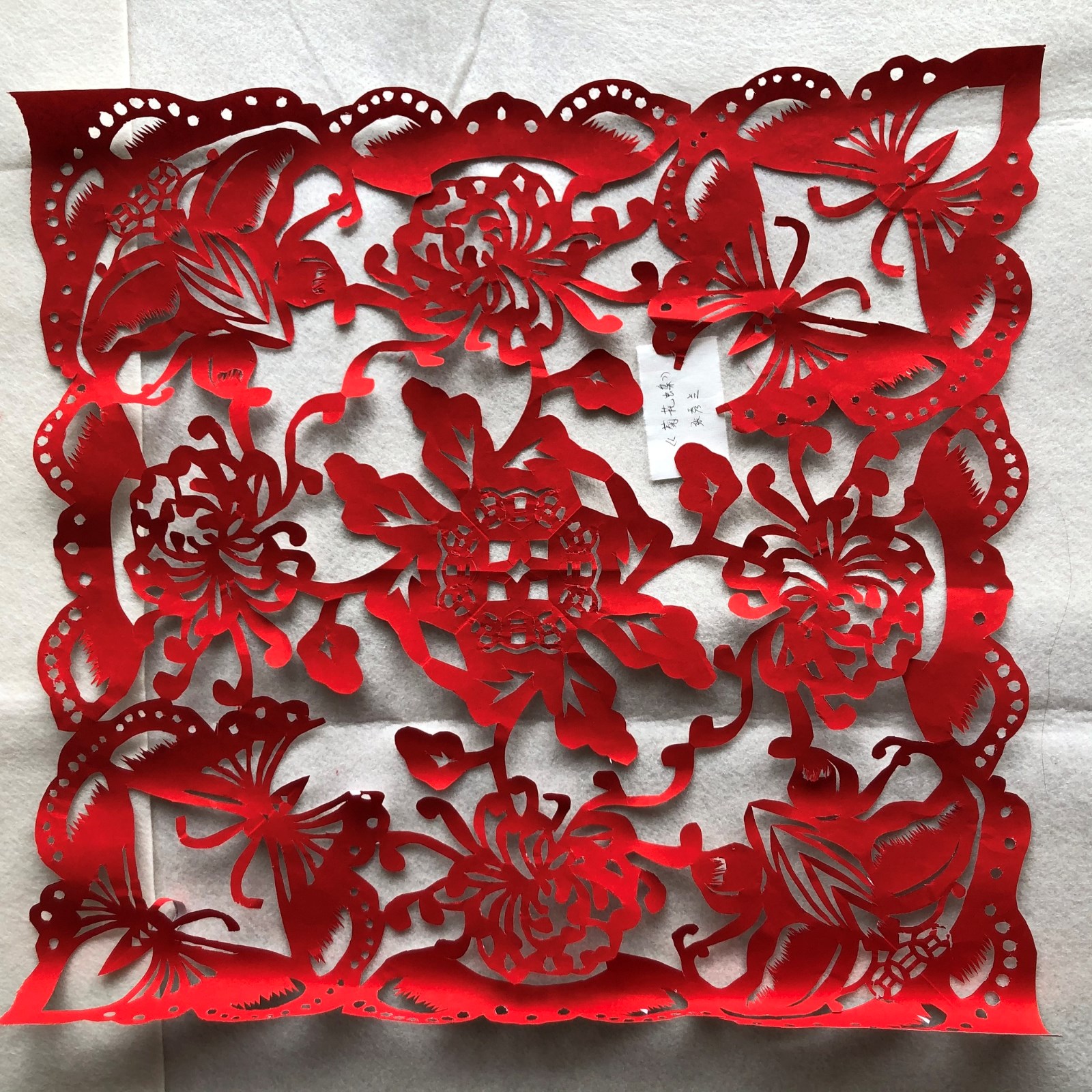 槐荫区文化馆 张秀兰《菊花蝶》