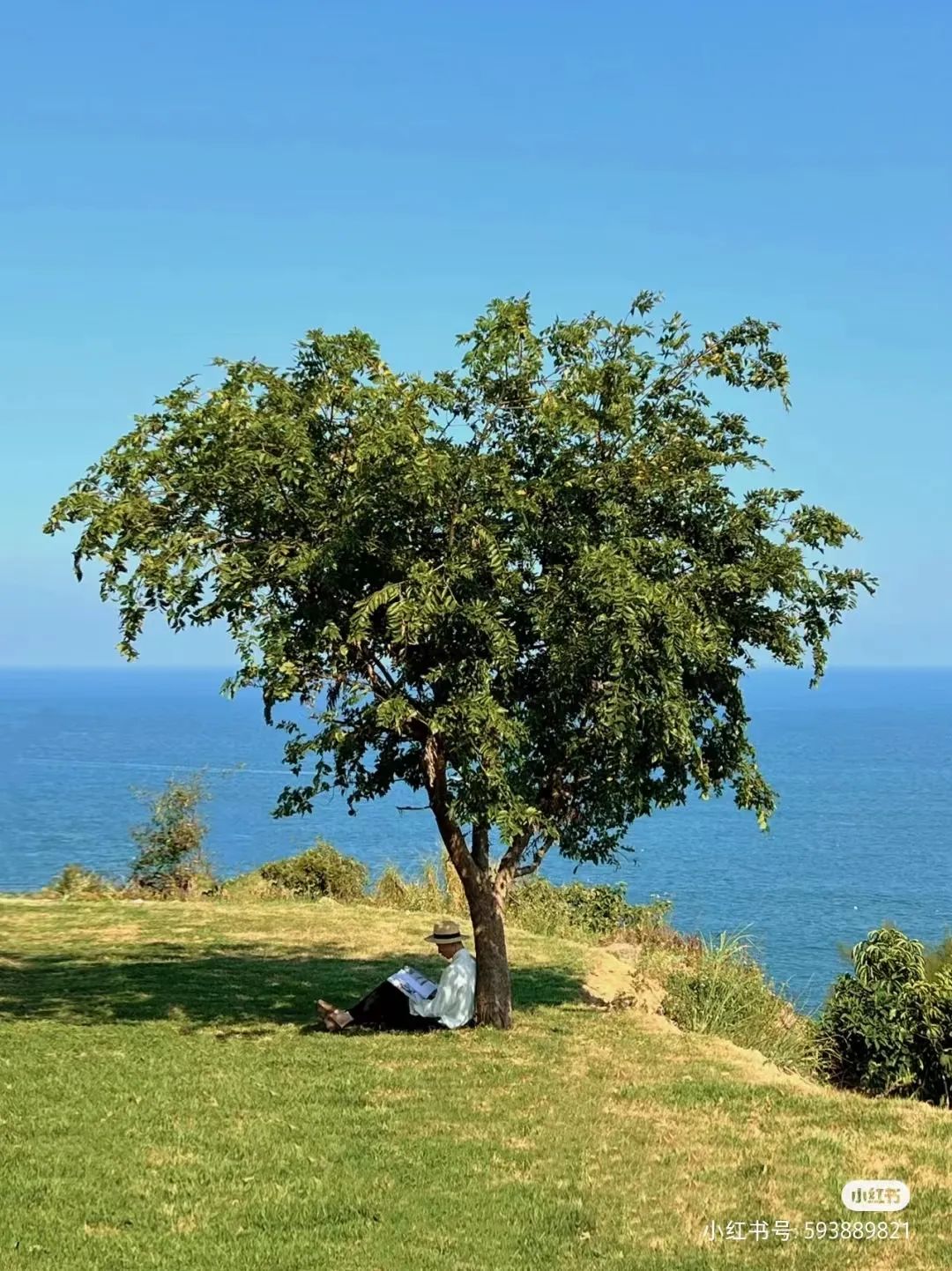 DM_20230130115929_003 DM_20230130115929_003.jpeg