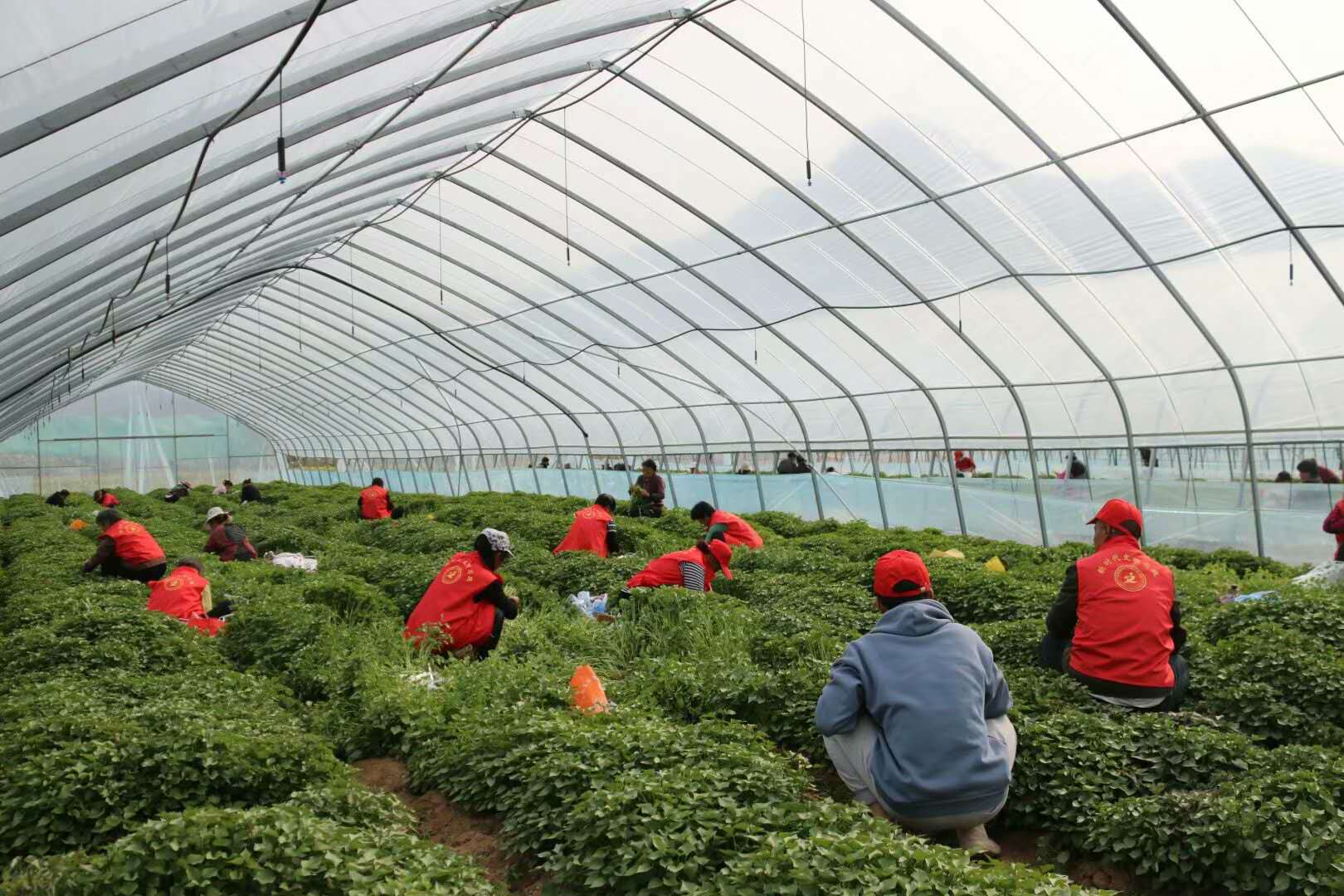 微信图片_20201209101710