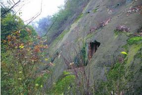 pagenumber_ebook=64,pagenumber_book=64