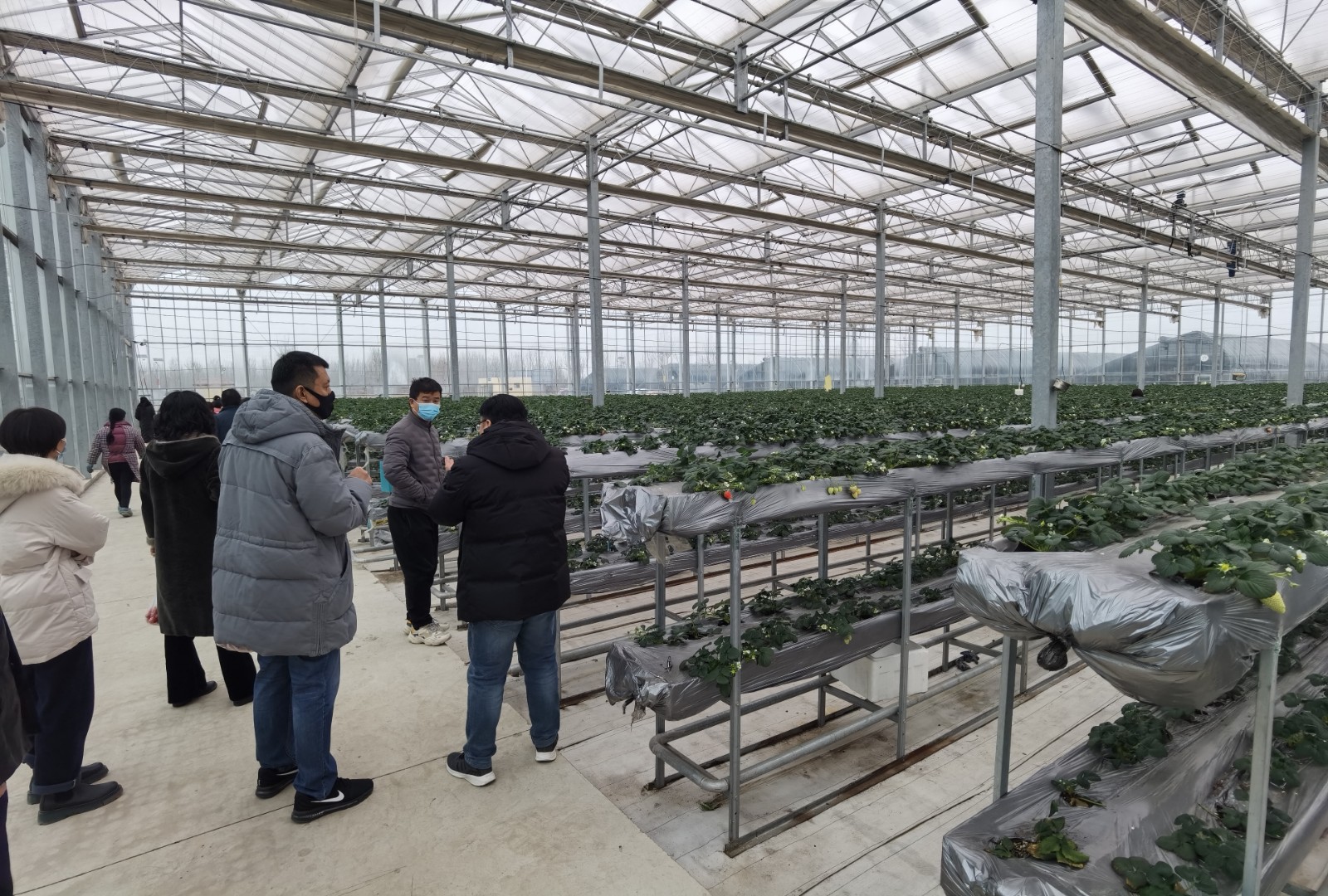 5868c335bcf3b685a8d983d3840ded9