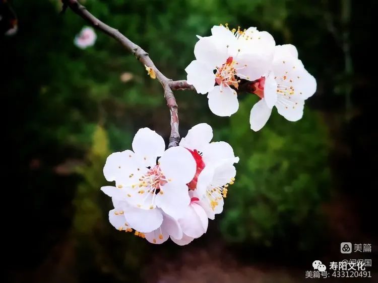 微信图片_20230414095946