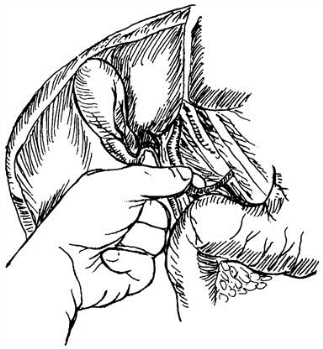 pagenumber_ebook=560,pagenumber_book=545