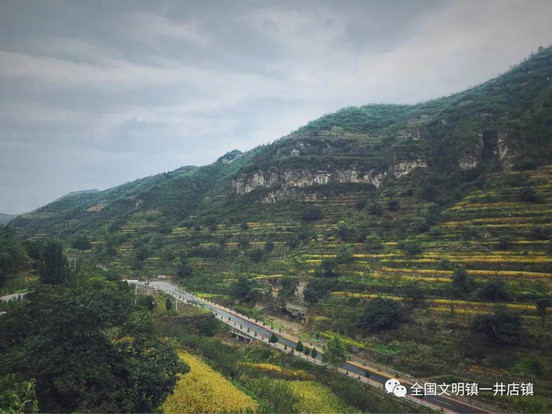 微信图片_20210727093750