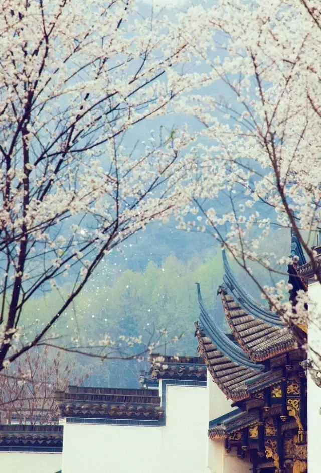 20180122171230_arm8s4q5ri 20180122171230_arm8s4q5ri.png?v=1769798603138