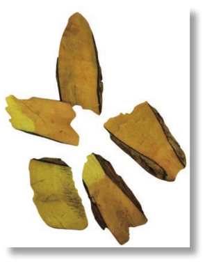 pagenumber_ebook=305,pagenumber_book=292