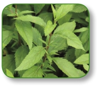 pagenumber_ebook=106,pagenumber_book=93