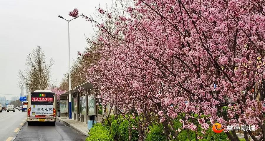 微信图片_20210324085047 微信图片_20210324085047.jpg