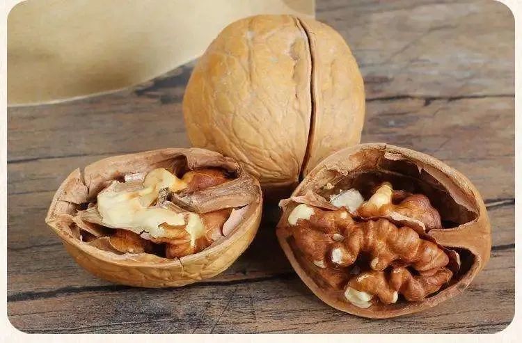 640 (1) 640 (1).jpg?v=1763150342813