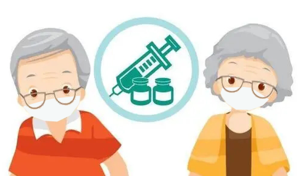 2 2.png?v=1765898319514