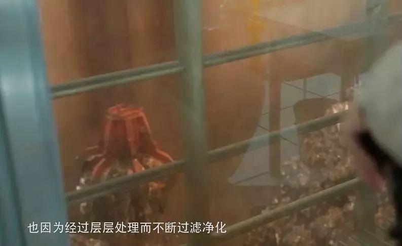 微信图片_20210813165124 微信图片_20210813165124.jpg?v=1765857323182