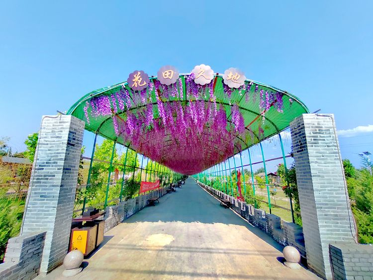 图片 1 图片 1.png