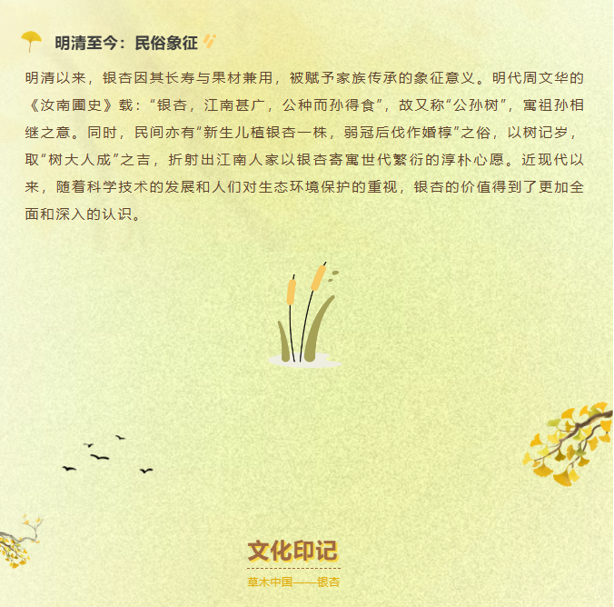 image.png?v=1762073802454