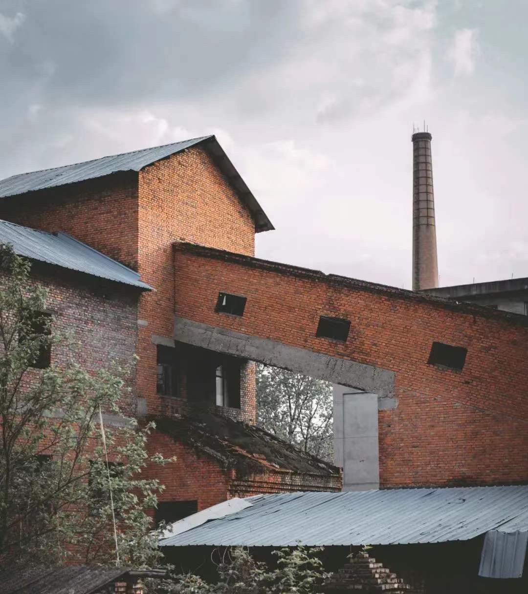 IMG_1446(20200417-111313) IMG_1446(20200417-111313).jpg?v=1765781105416