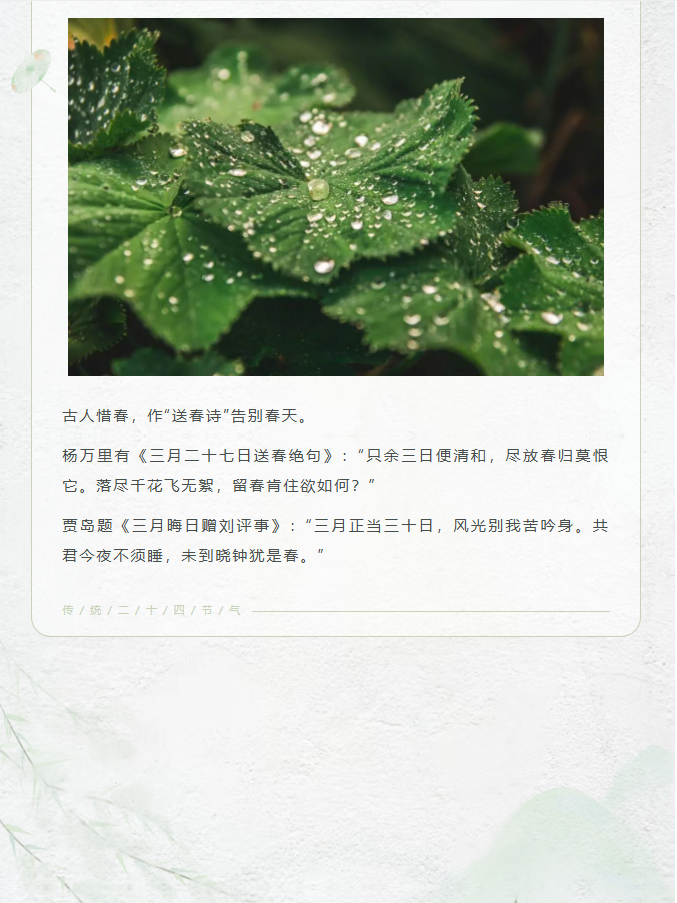 image.png?v=1777155418556