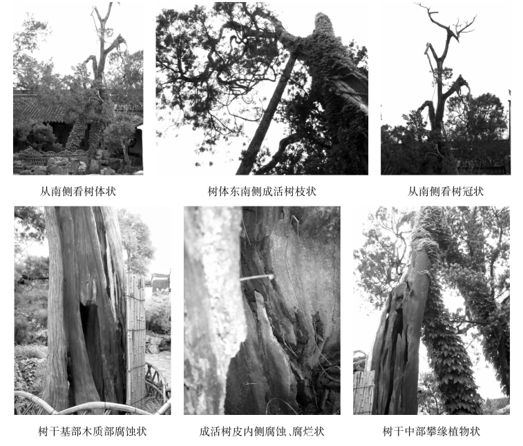 pagenumber_ebook=141,pagenumber_book=141