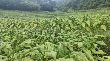 图片 10 图片 10.png