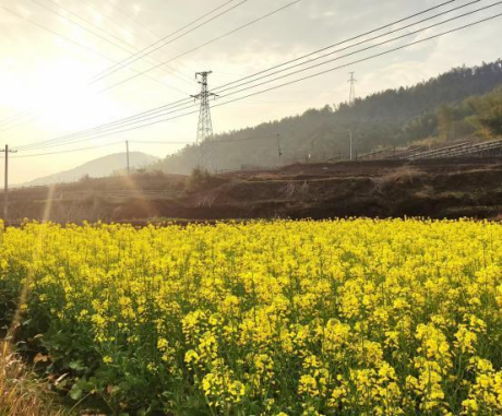 图片 21 图片 21.png