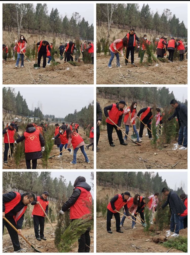 42d4bb7a33c242f9839ffef0a5fc083b