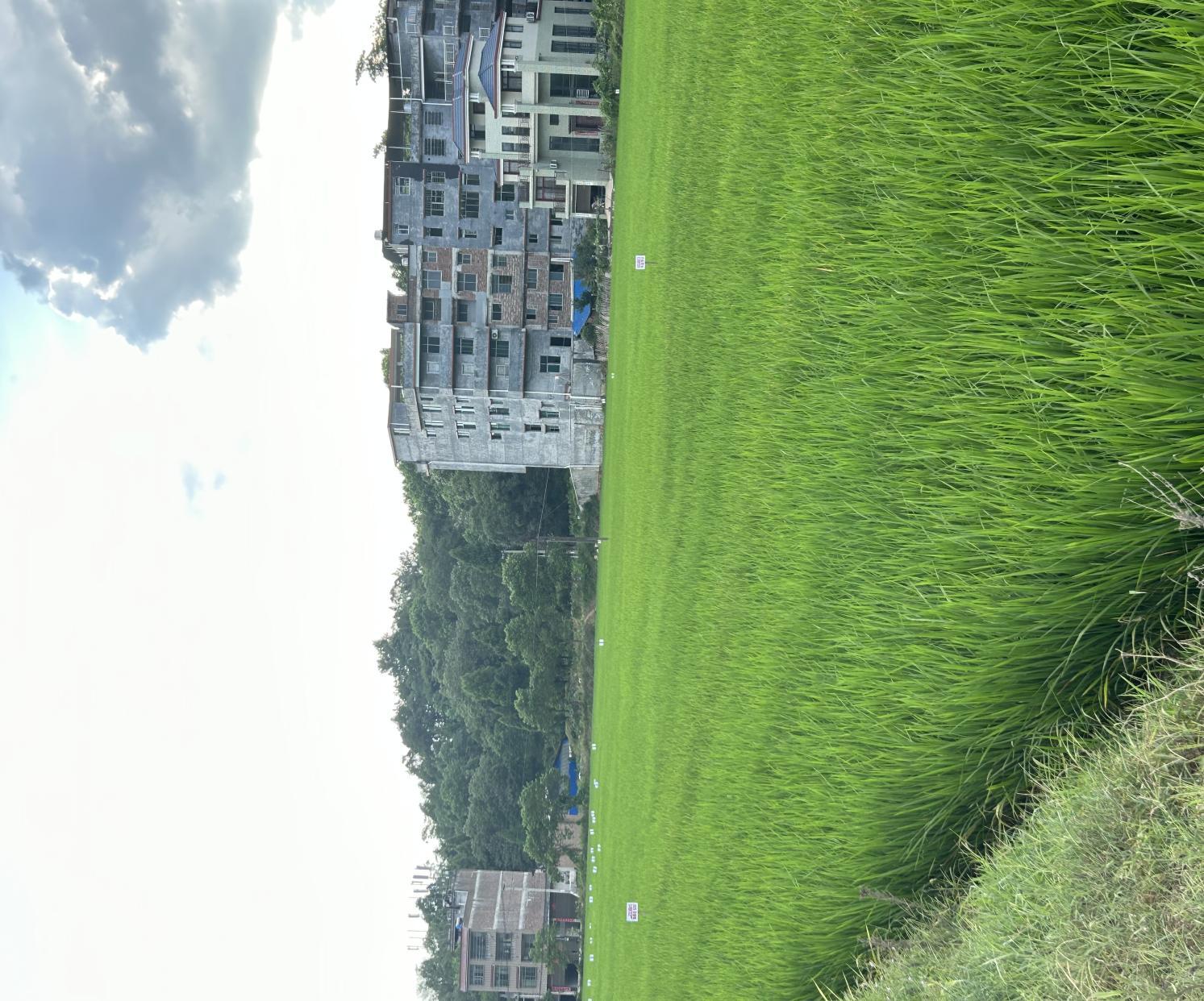 wps_doc_6 wps_doc_6.jpeg