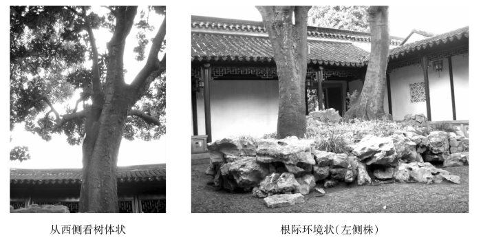 pagenumber_ebook=150,pagenumber_book=150