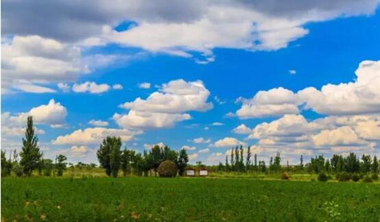 A17.jpg?v=1763520868647