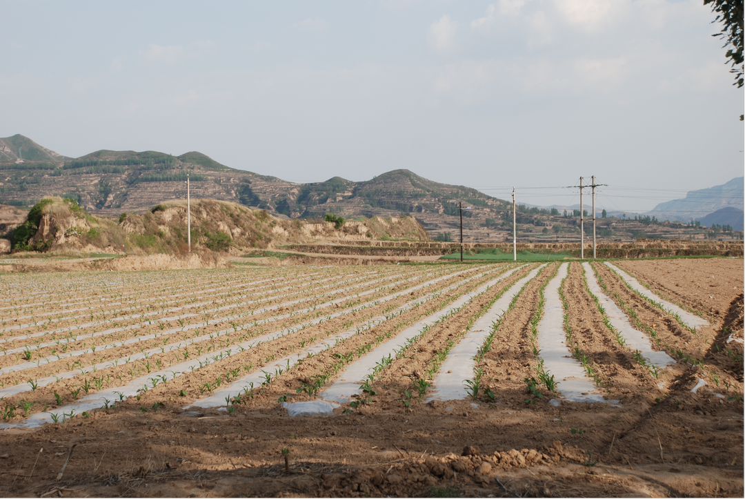 图片4古城城址远景 图片4古城城址远景
