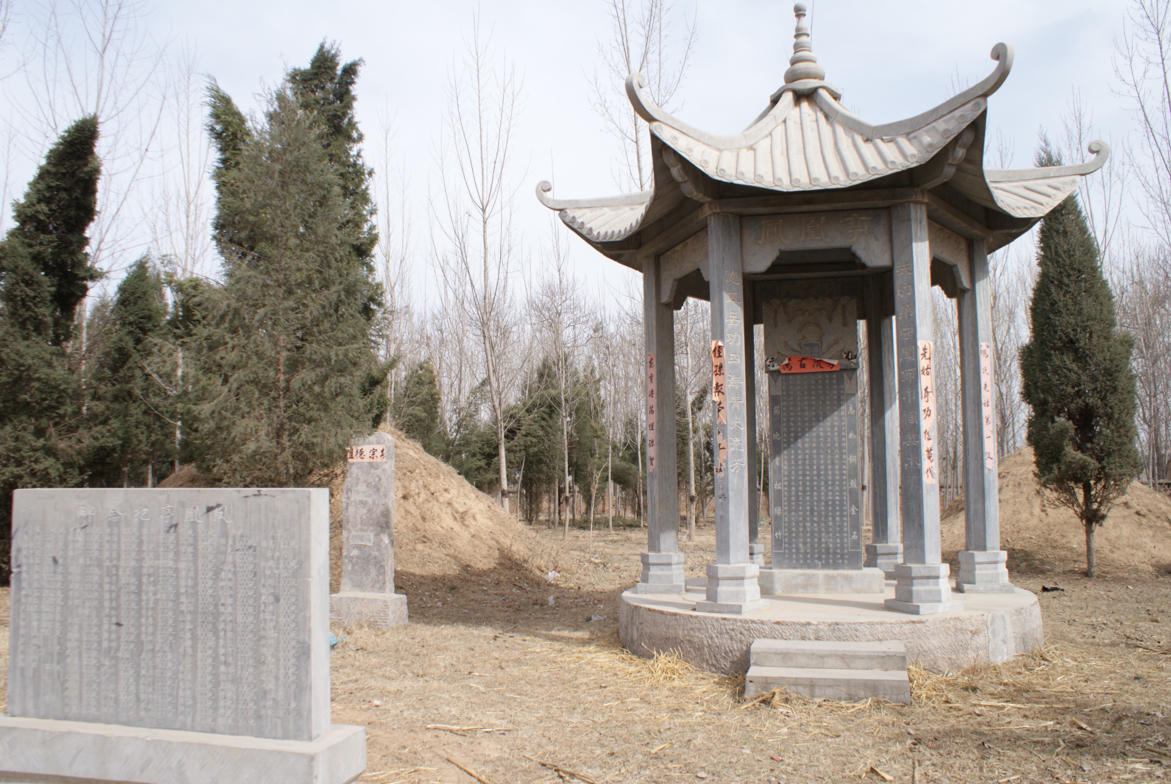 DSC05116 DSC05116.jpg