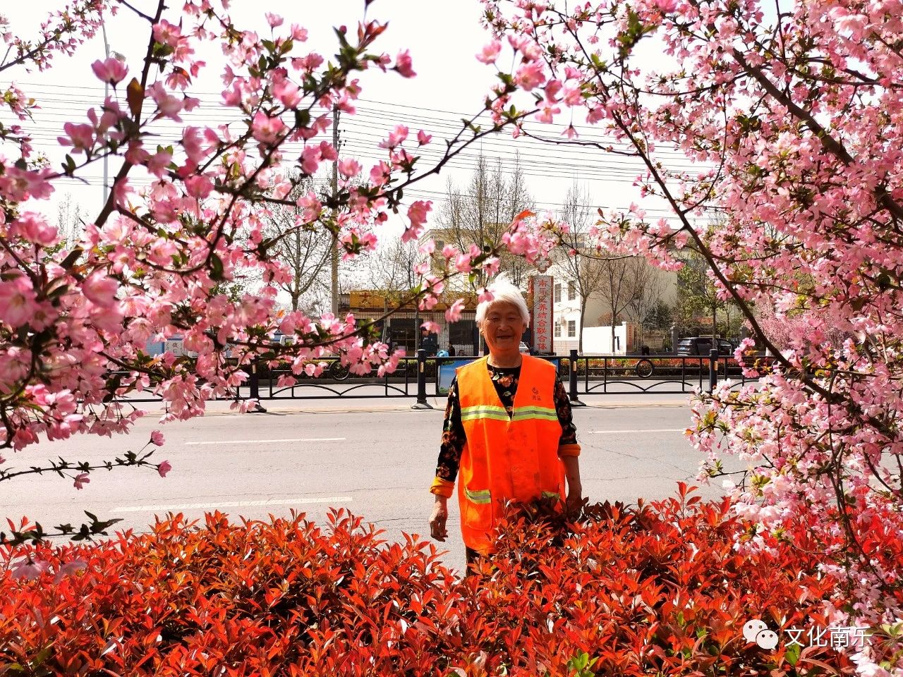 8a2e7b396b0a56a554708137d3646e44 8a2e7b396b0a56a554708137d3646e44.jpg