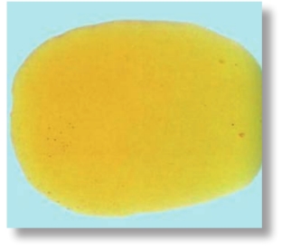 pagenumber_ebook=248,pagenumber_book=235