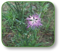 pagenumber_ebook=119,pagenumber_book=106