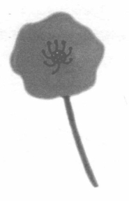 pagenumber_ebook=47,pagenumber_book=41