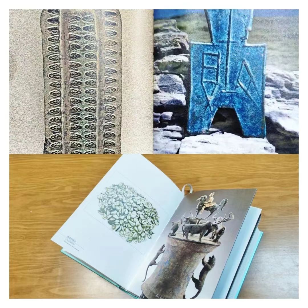 505055117 505055117.jpg