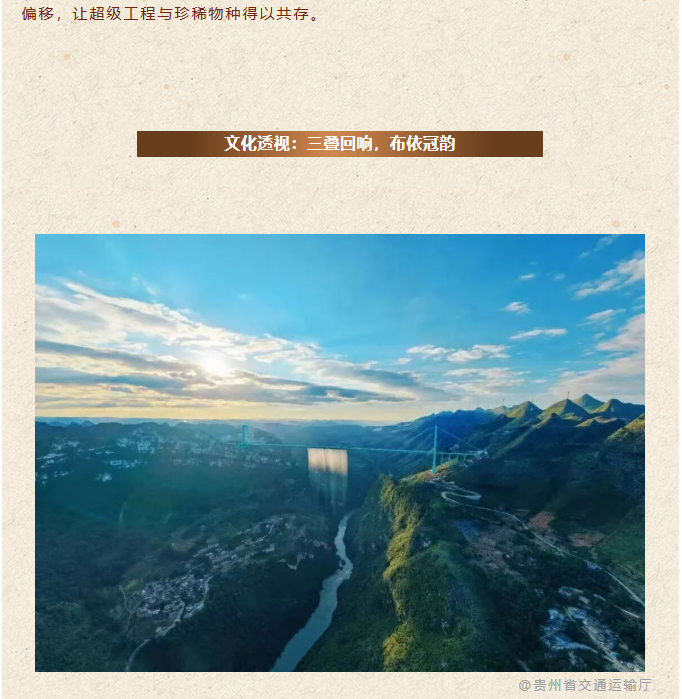 image.png?v=1790804860728