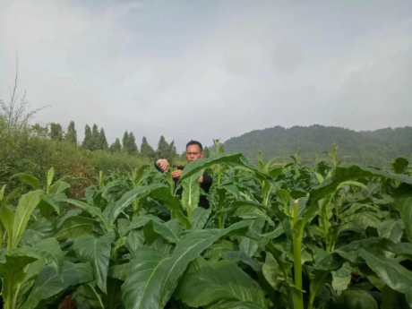 图片 54 图片 54.png