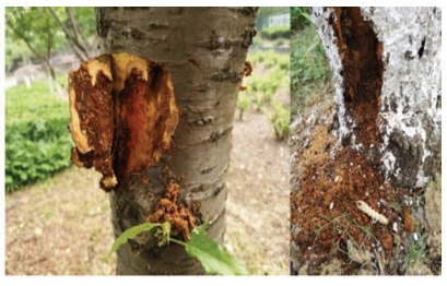 pagenumber_ebook=26,pagenumber_book=18